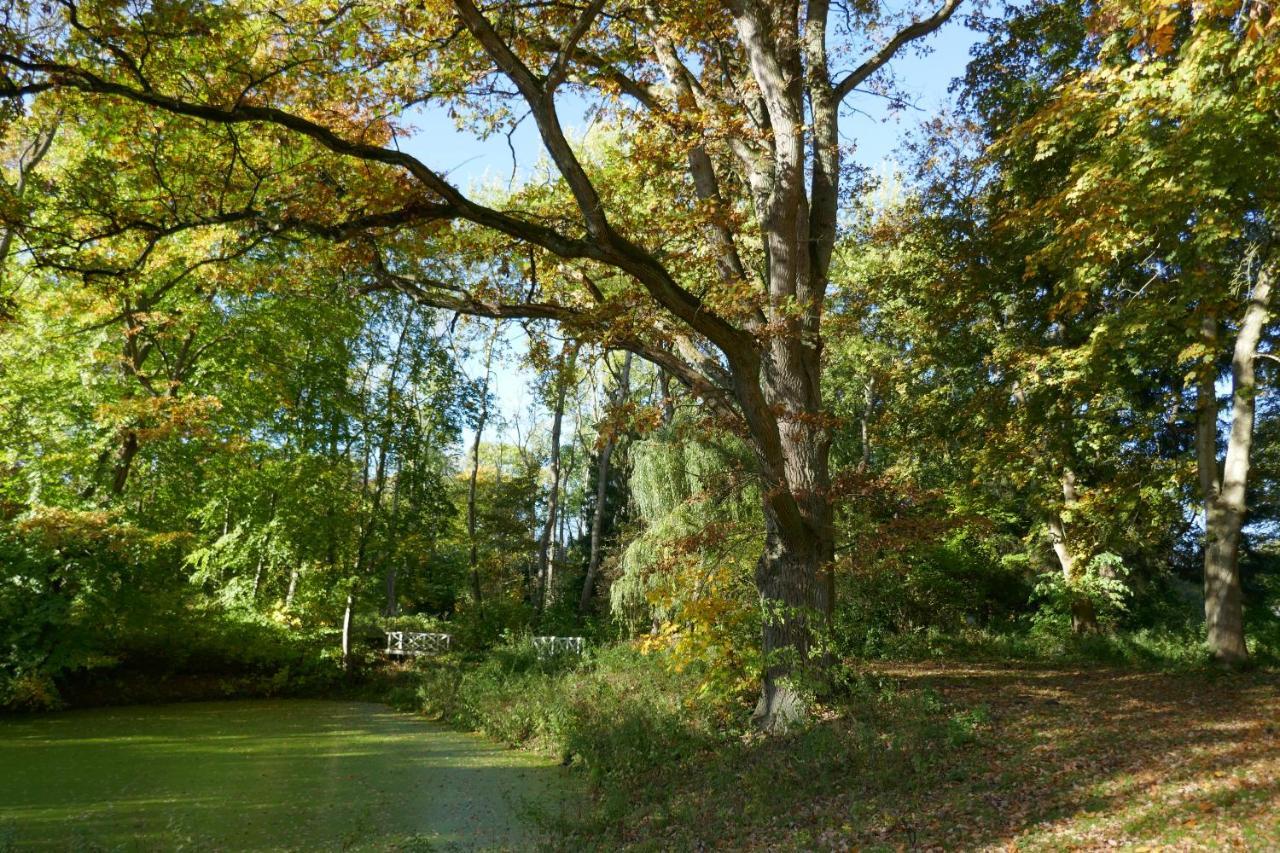 Landhaus Schloss Koelzow Kolzow Eksteriør bilde