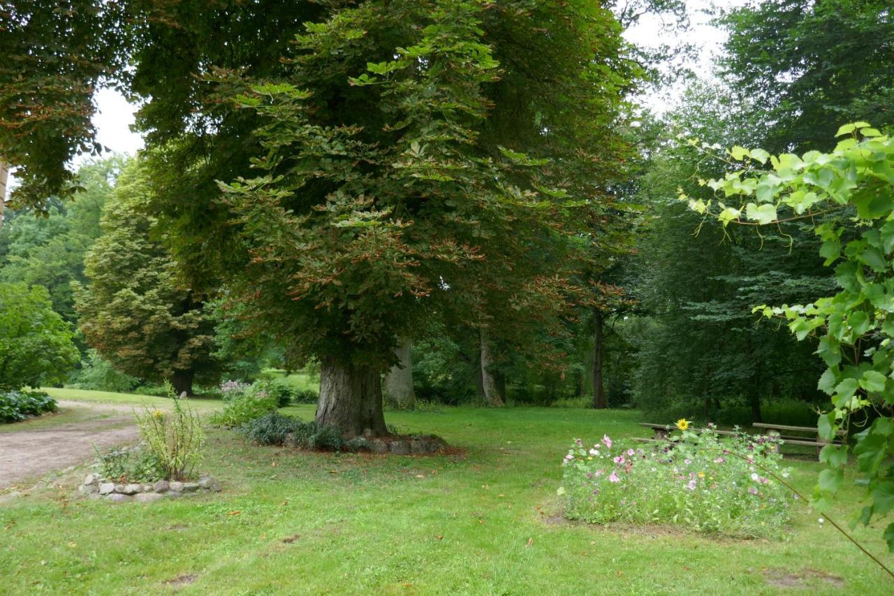 Landhaus Schloss Koelzow Kolzow Eksteriør bilde