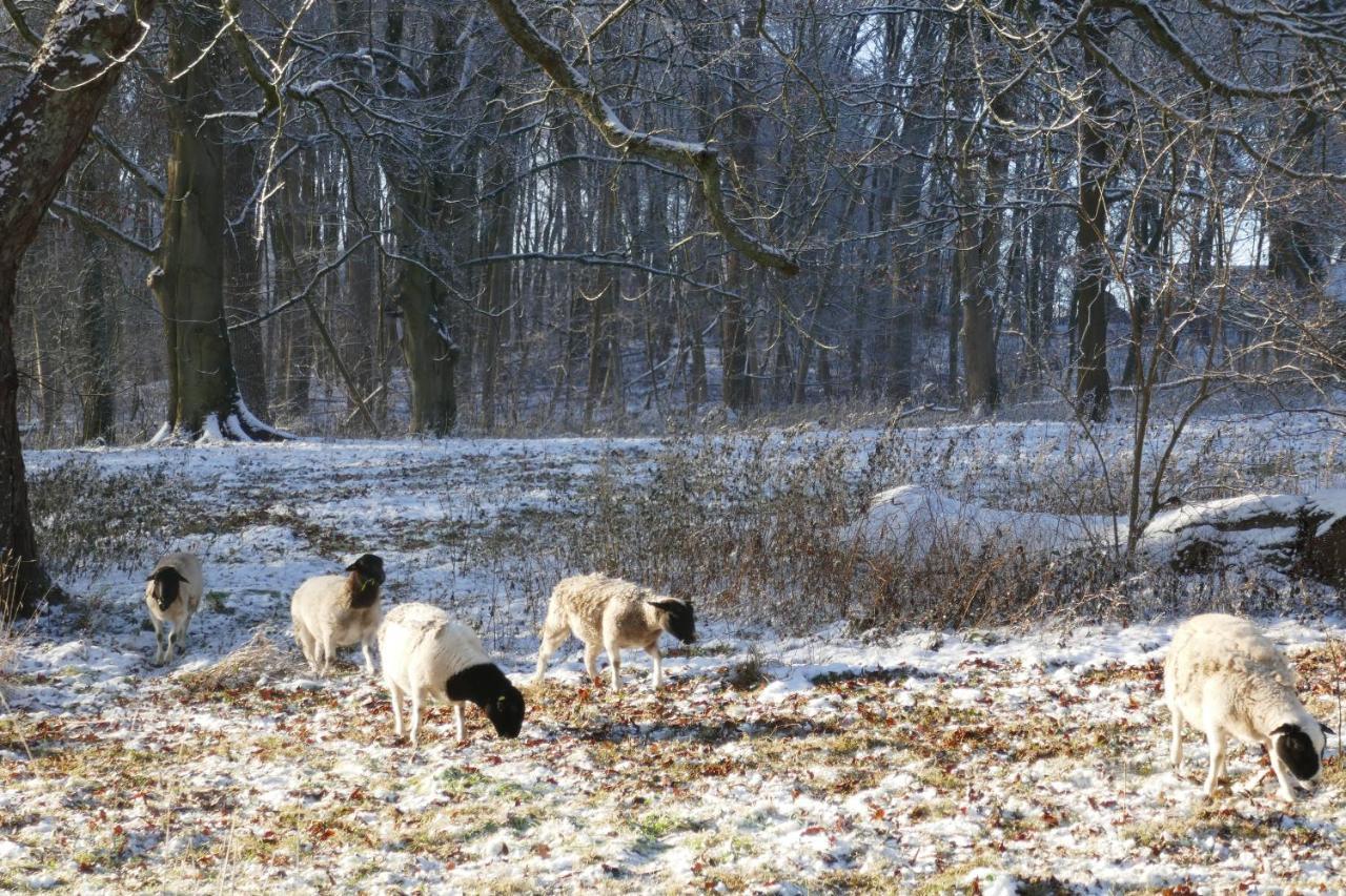 Landhaus Schloss Koelzow Kolzow Eksteriør bilde